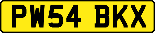 PW54BKX