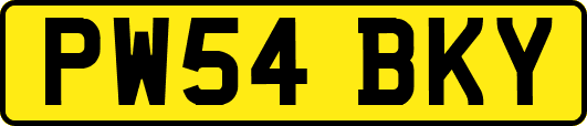 PW54BKY