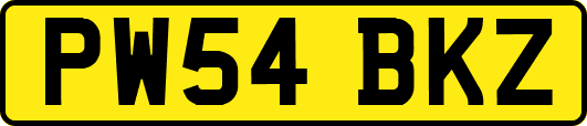 PW54BKZ