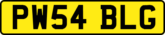 PW54BLG