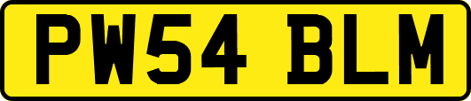 PW54BLM