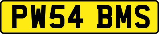 PW54BMS