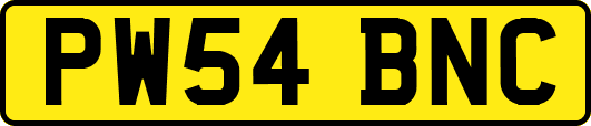 PW54BNC