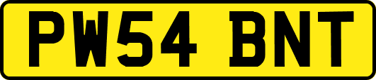 PW54BNT