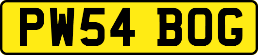 PW54BOG