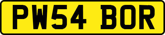 PW54BOR