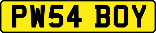 PW54BOY