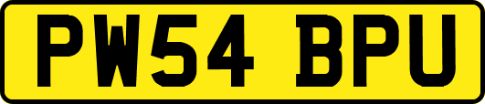 PW54BPU