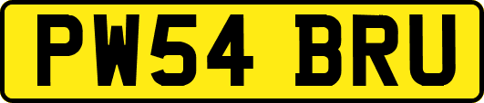 PW54BRU