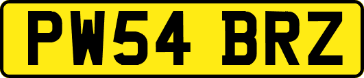 PW54BRZ