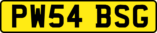 PW54BSG