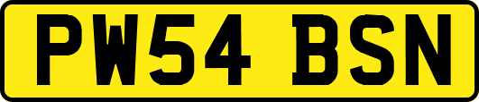 PW54BSN