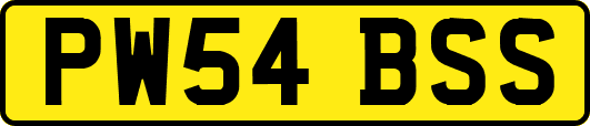 PW54BSS