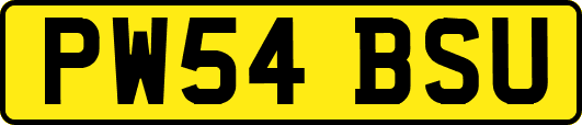 PW54BSU