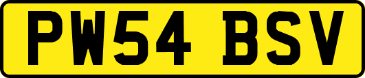 PW54BSV