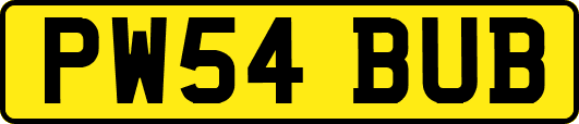 PW54BUB
