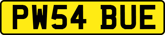 PW54BUE