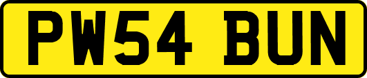 PW54BUN
