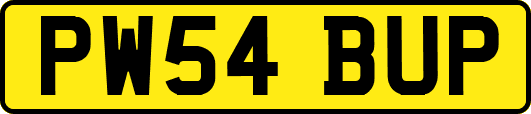 PW54BUP