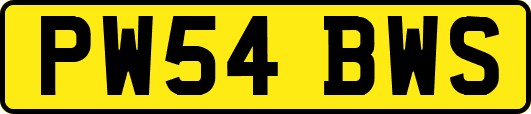 PW54BWS