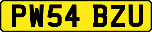 PW54BZU