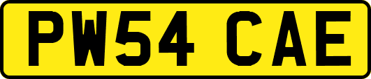 PW54CAE