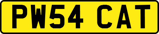 PW54CAT