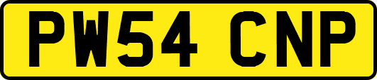 PW54CNP