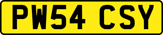 PW54CSY