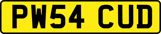 PW54CUD