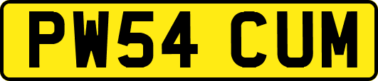 PW54CUM
