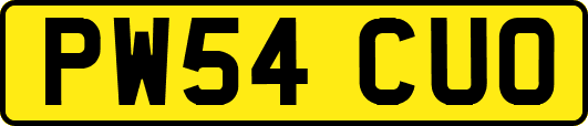 PW54CUO
