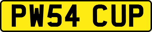 PW54CUP