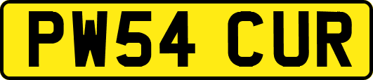 PW54CUR