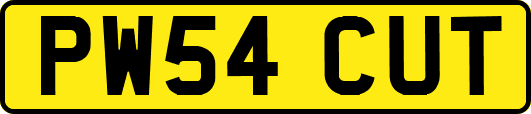 PW54CUT