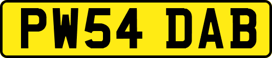 PW54DAB