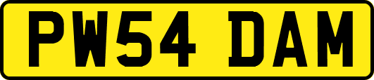PW54DAM