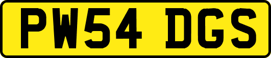 PW54DGS