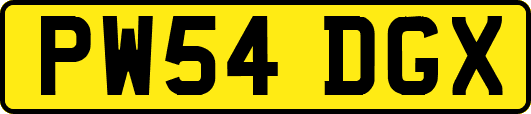 PW54DGX