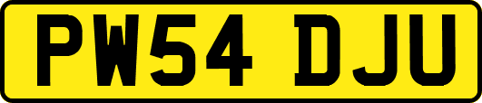 PW54DJU