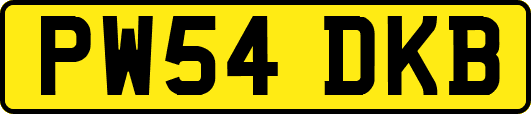 PW54DKB