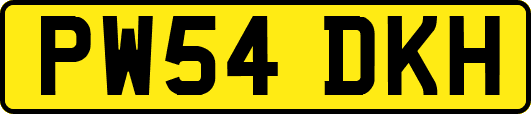 PW54DKH