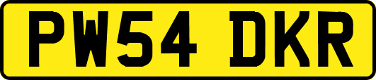 PW54DKR