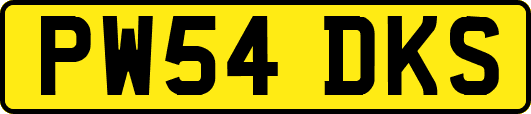 PW54DKS