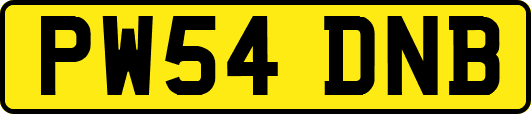 PW54DNB