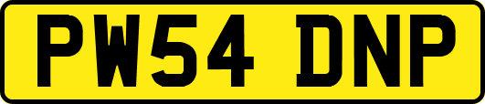 PW54DNP
