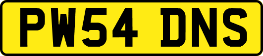 PW54DNS
