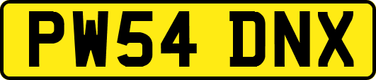 PW54DNX