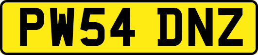 PW54DNZ