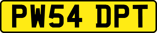 PW54DPT